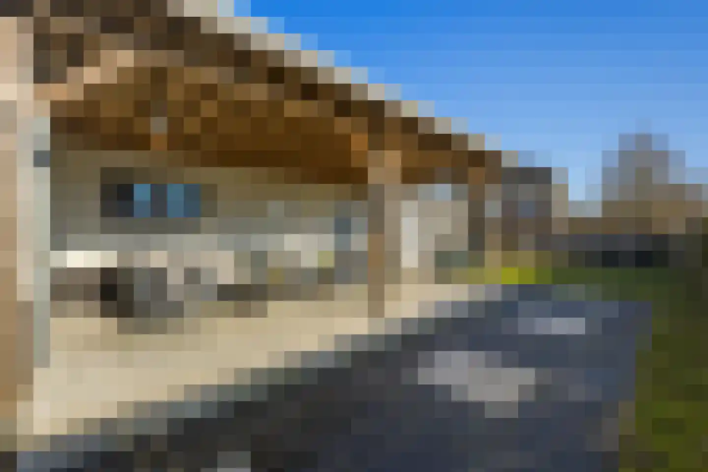 Wierdensestraat 126 A Rijssen thumbnail 25
