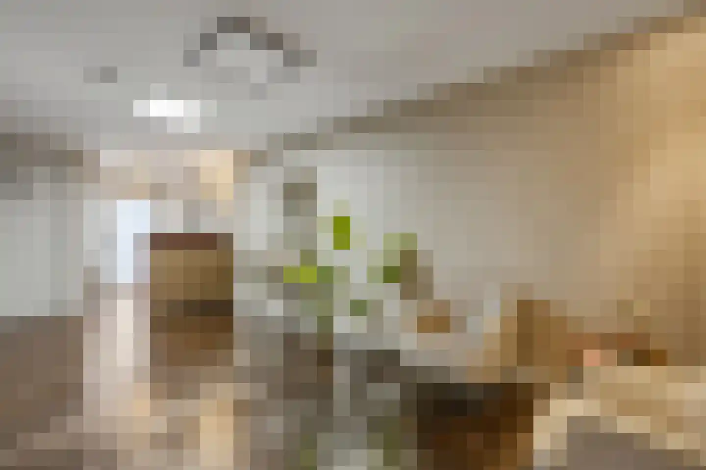 Wierdensestraat 126 A Rijssen thumbnail 33