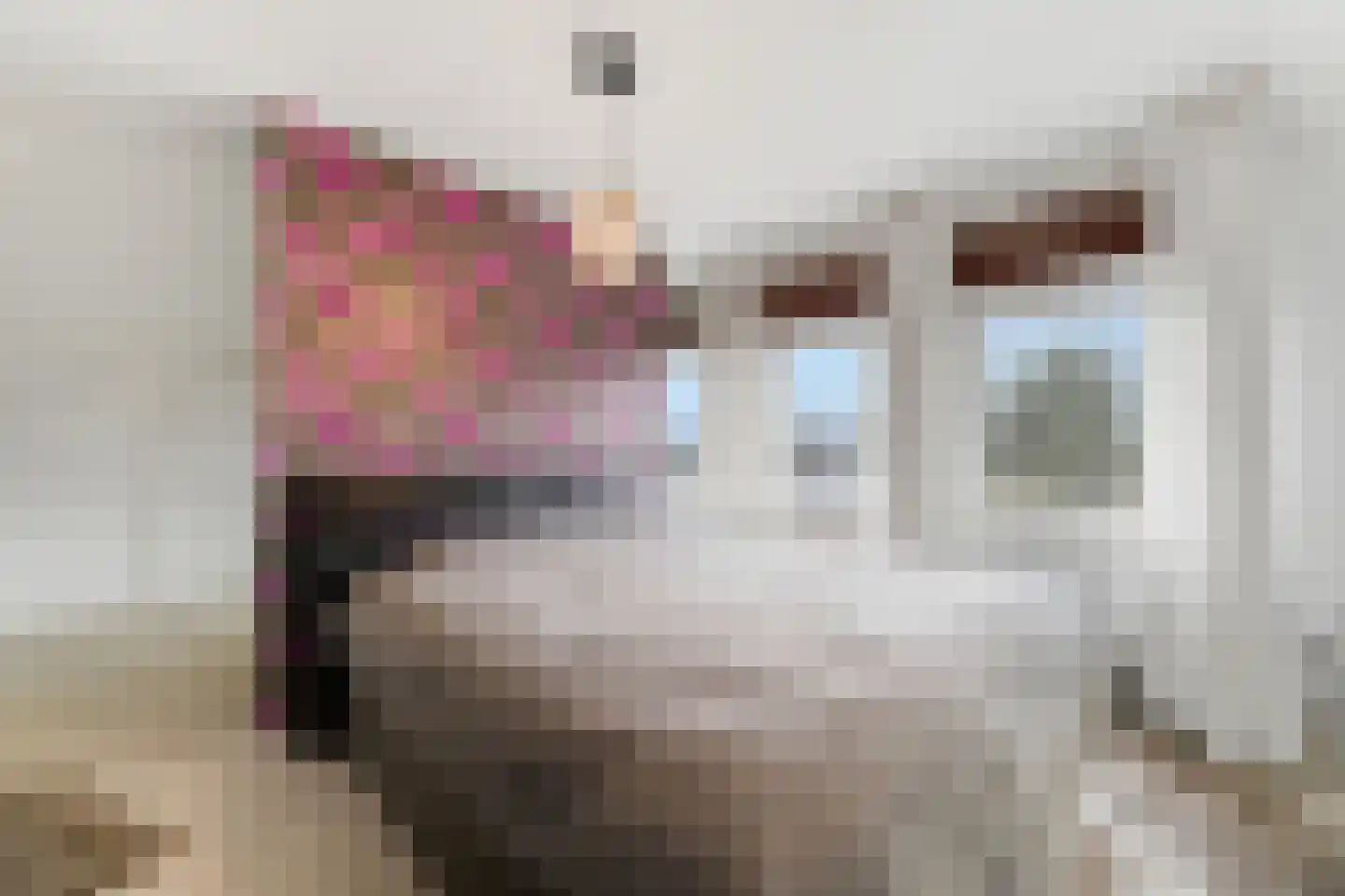 Wierdensestraat 14 Nijverdal thumbnail 18