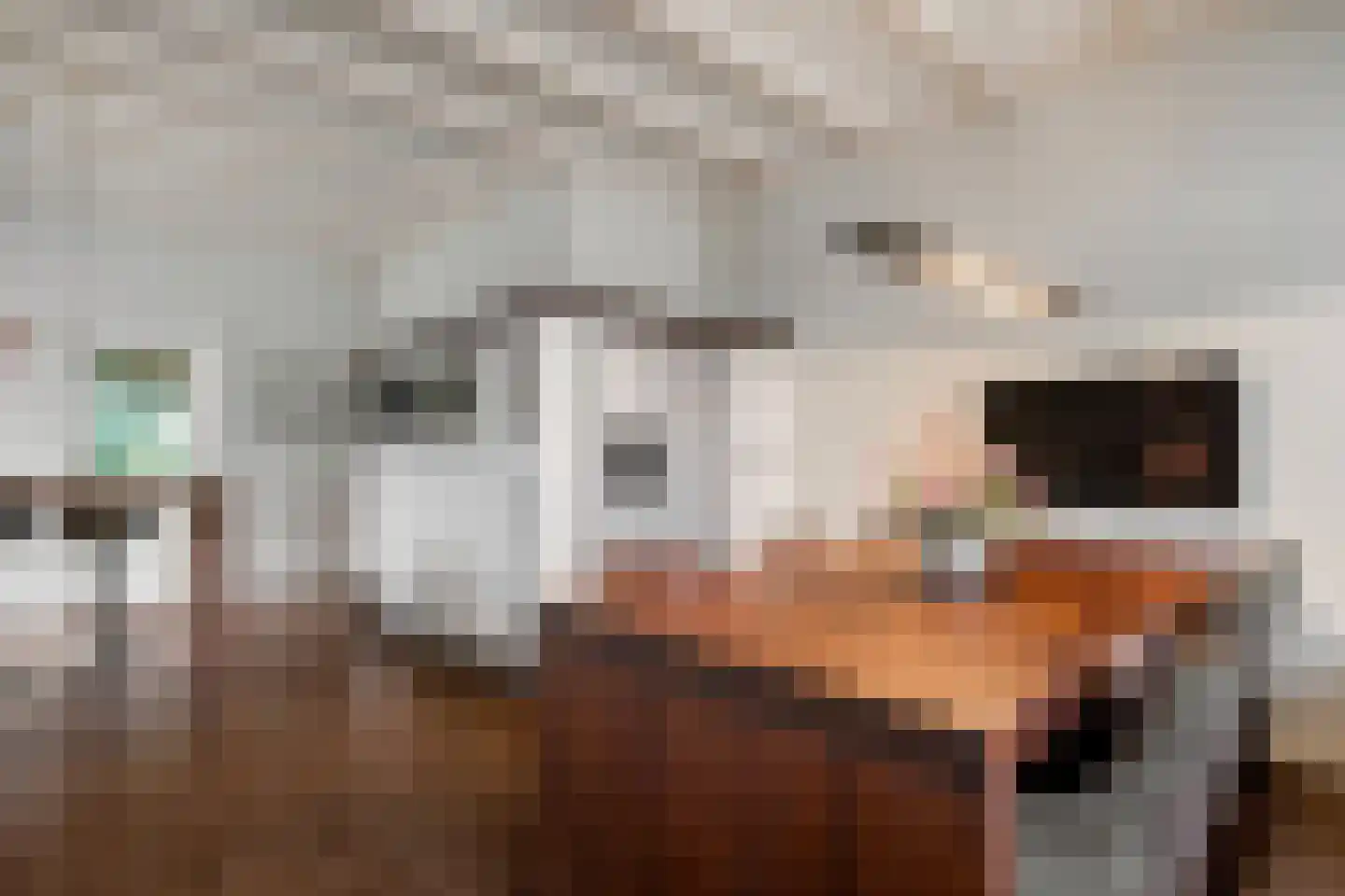 Wierdensestraat 14 Nijverdal thumbnail 6