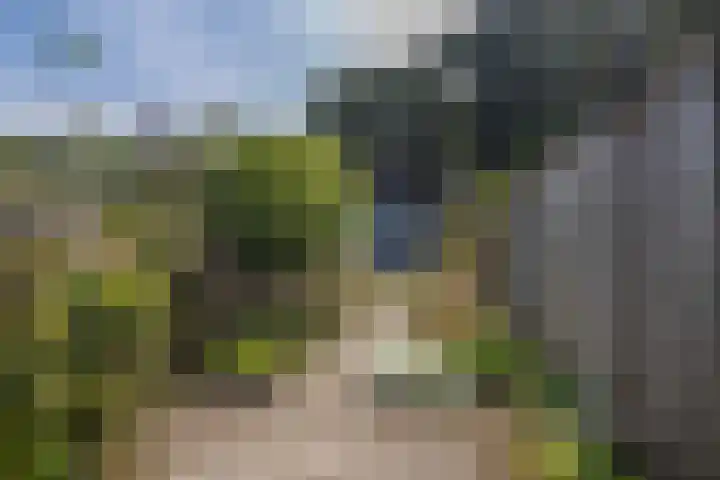 Wierdensestraat 180 Almelo thumbnail 20