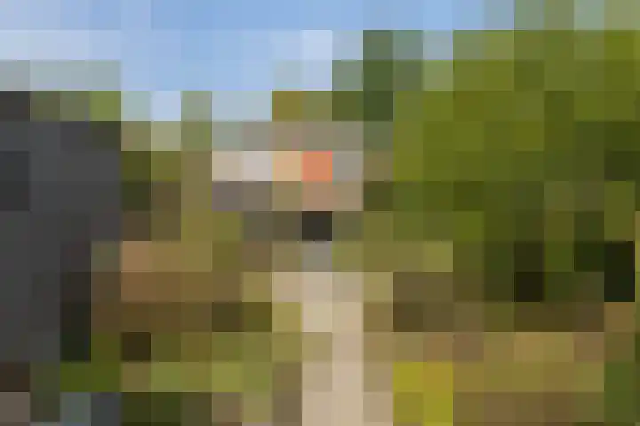 Wierdensestraat 180 Almelo thumbnail 22