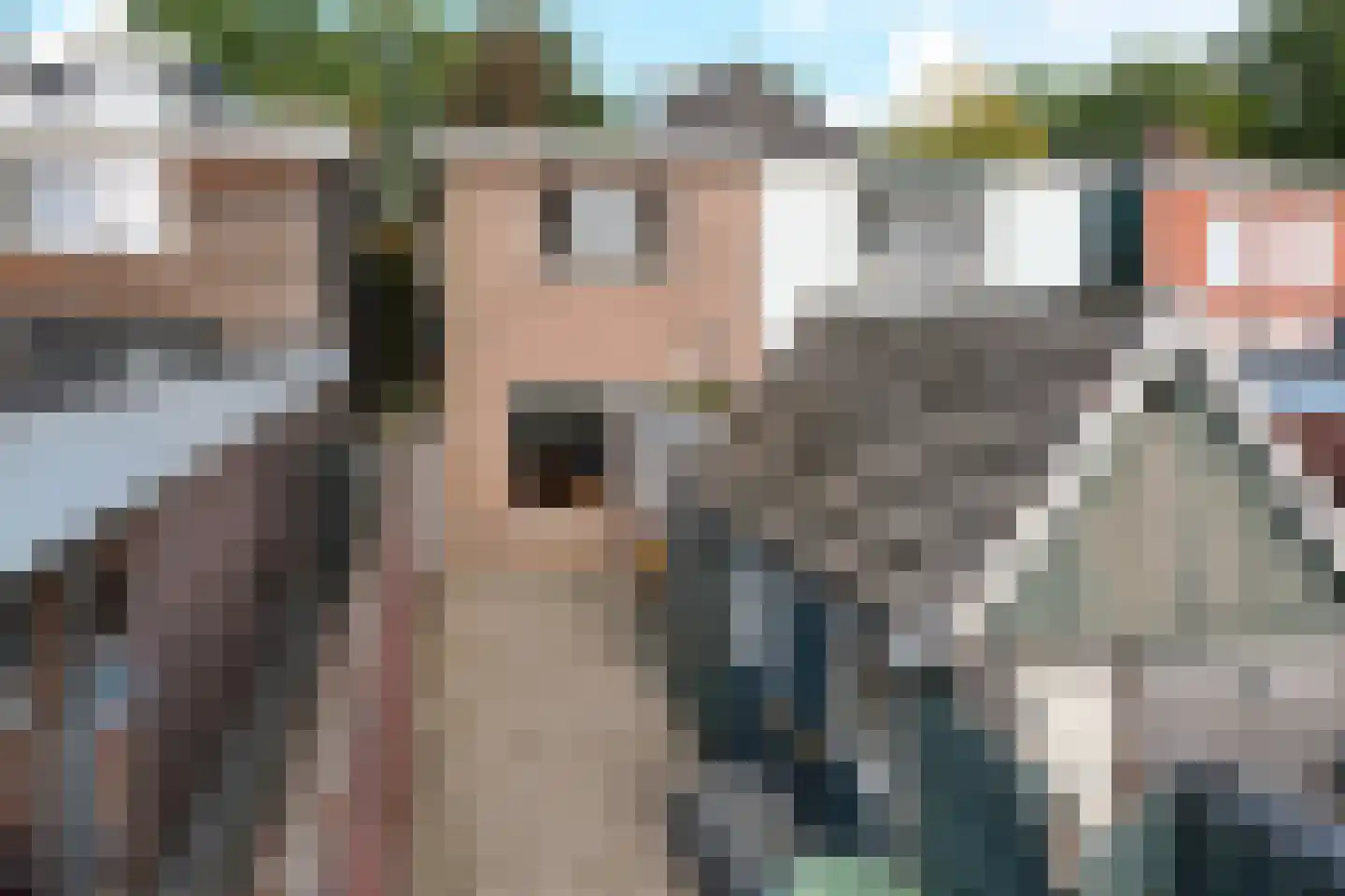 Wierdensestraat 190 Almelo thumbnail 21