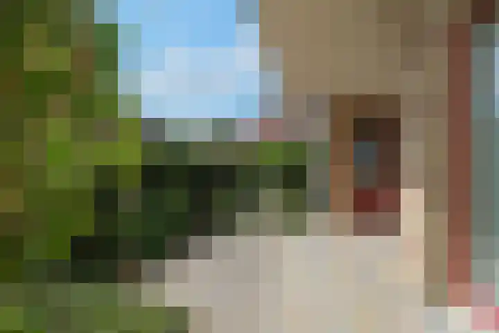 Wierdensestraat 4 7 Almelo thumbnail 12