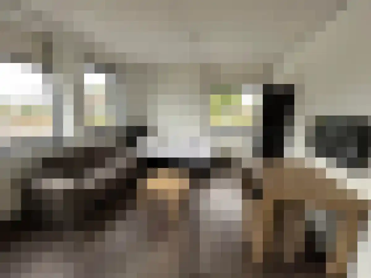 Wierdensestraat 55 Almelo