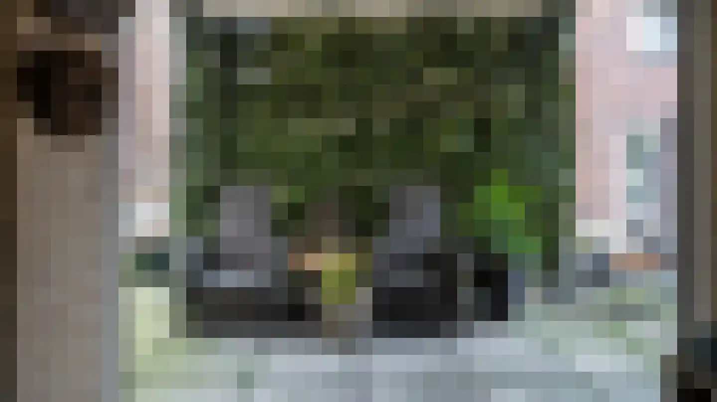 Wierdensestraat 6 Almelo thumbnail 29