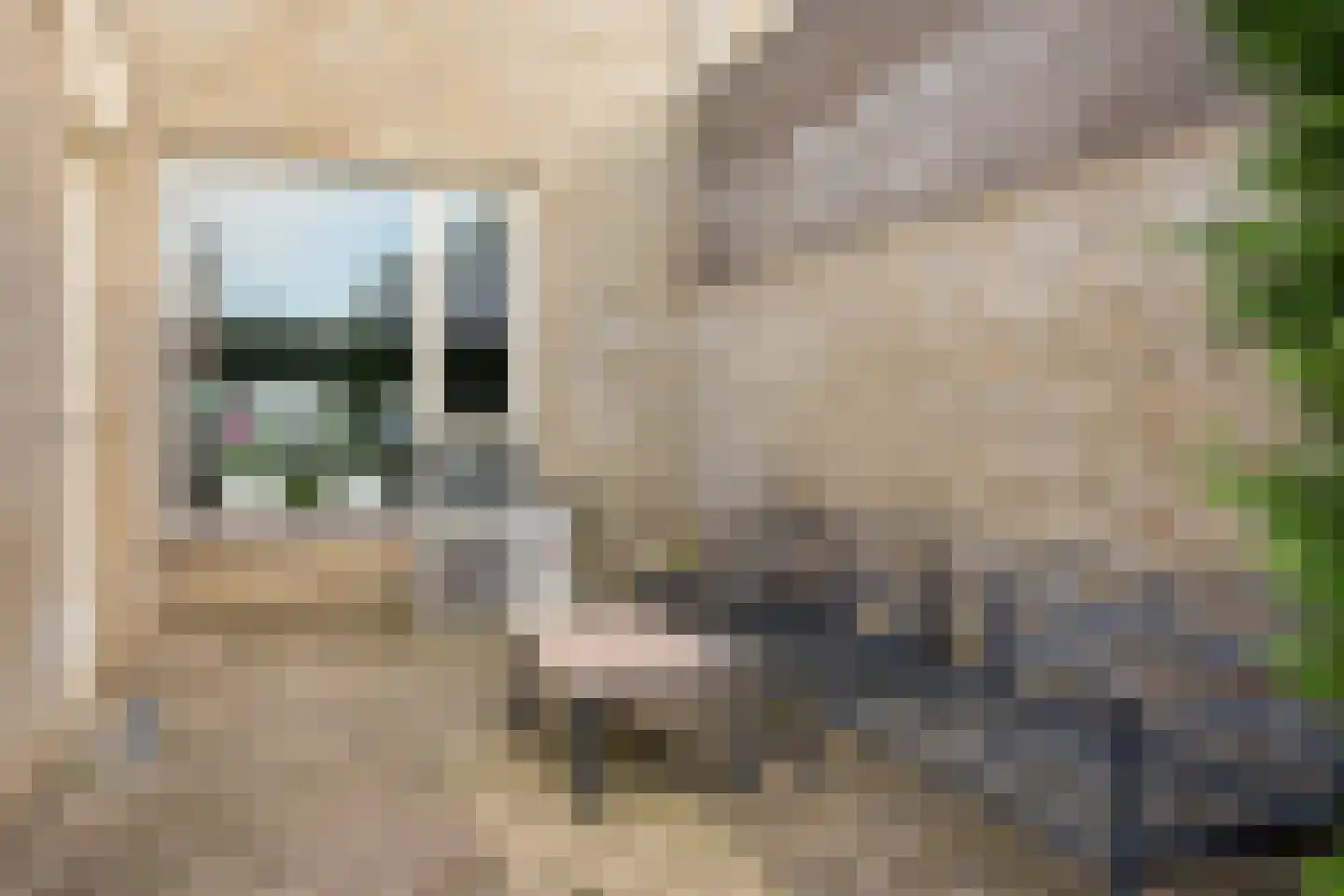 Wierdensestraat 69 Rijssen thumbnail 22