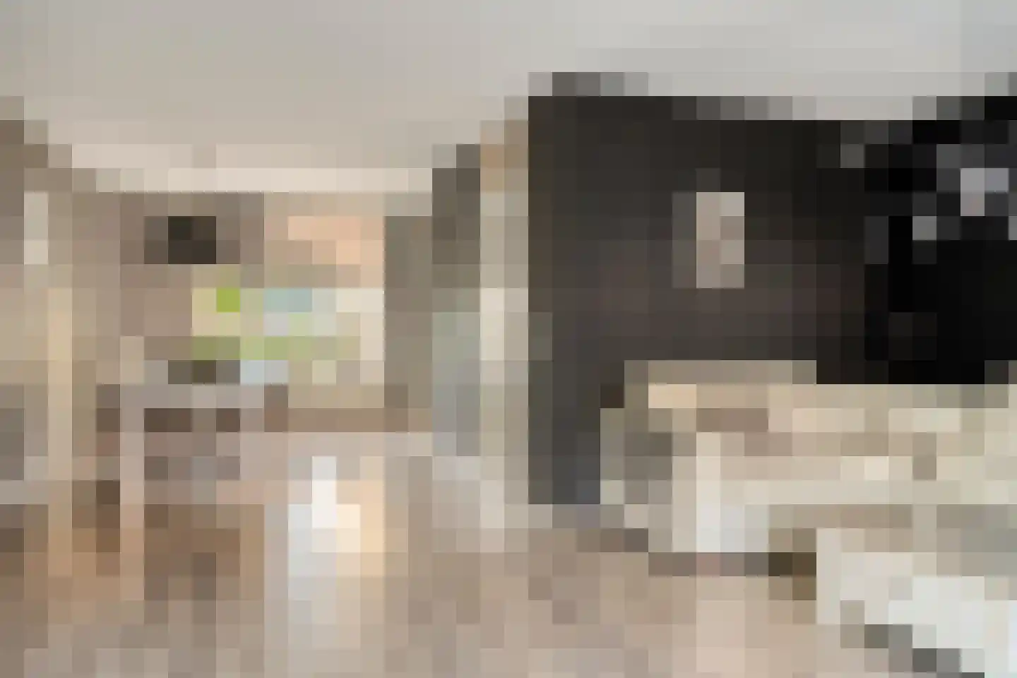 Wierdensestraat 69 Rijssen thumbnail 4