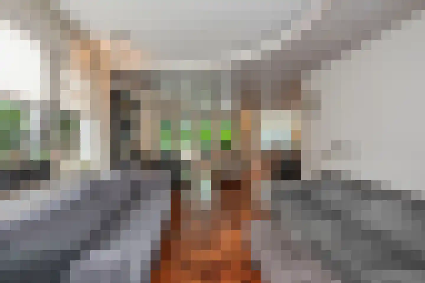 Wierdensestraat 77 C Rijssen thumbnail 14