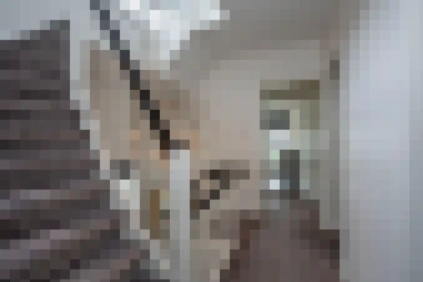 Wierdensestraat 77 C Rijssen thumbnail 20