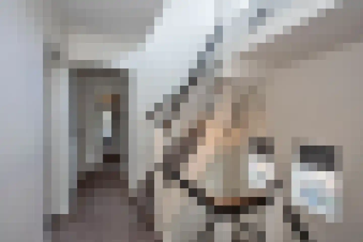 Wierdensestraat 77 C Rijssen thumbnail 32