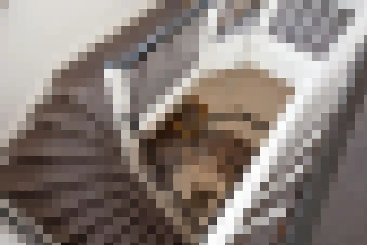 Wierdensestraat 77 C Rijssen thumbnail 5