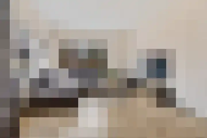 Wierdeweg 13 Delfzijl thumbnail 12