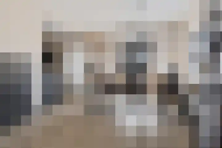 Wierdeweg 13 Delfzijl thumbnail 14