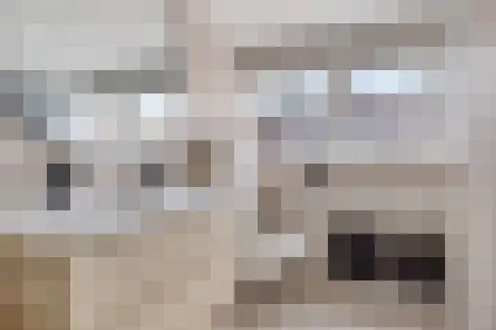 Wierdeweg 13 Delfzijl thumbnail 31