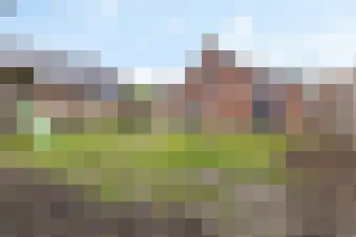 Wierdeweg 13 Delfzijl thumbnail 44