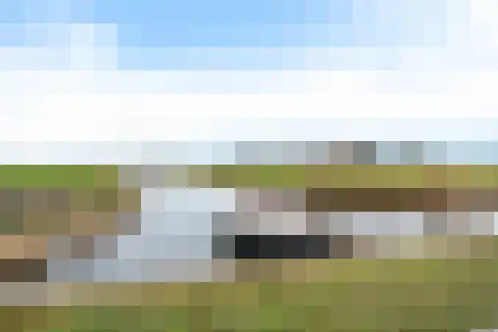 Wierdeweg 13 Delfzijl thumbnail 46