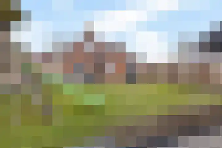 Wierdeweg 13 Delfzijl thumbnail 9