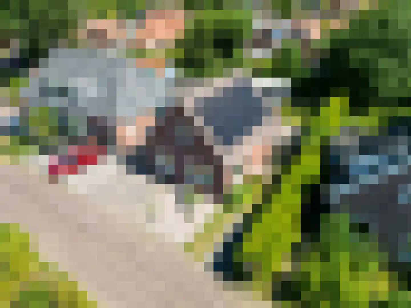 Wierdeweg 16 Ezinge thumbnail 33