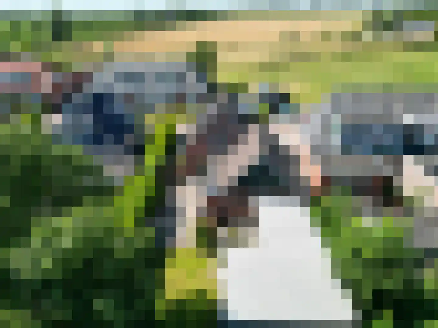 Wierdeweg 16 Ezinge thumbnail 34