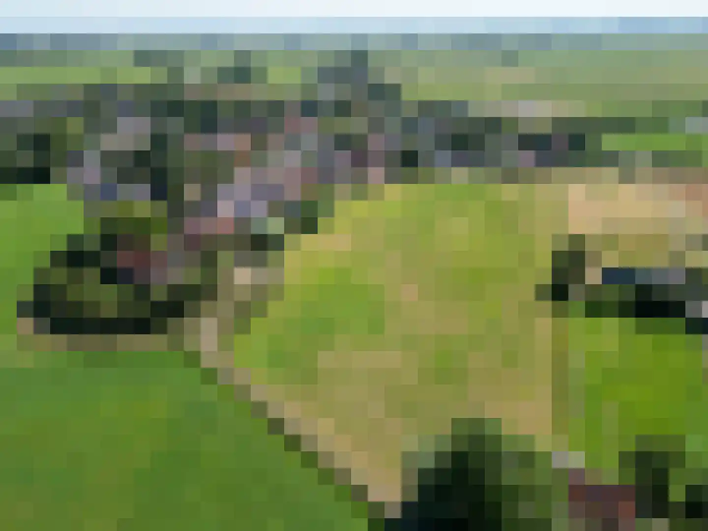 Wierdeweg 16 Ezinge thumbnail 39