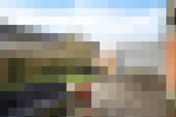 Wierdijk 101 Zwaag thumbnail 25