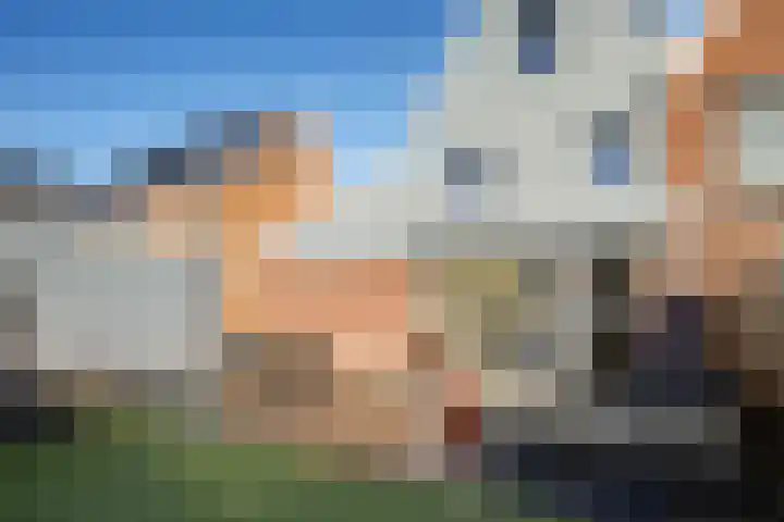 Wierdijk 101 Zwaag thumbnail 28