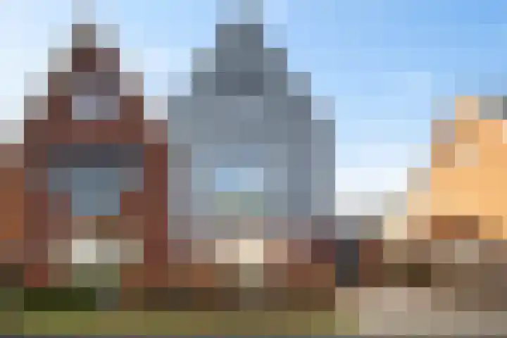 Wierdijk 101 Zwaag thumbnail 29