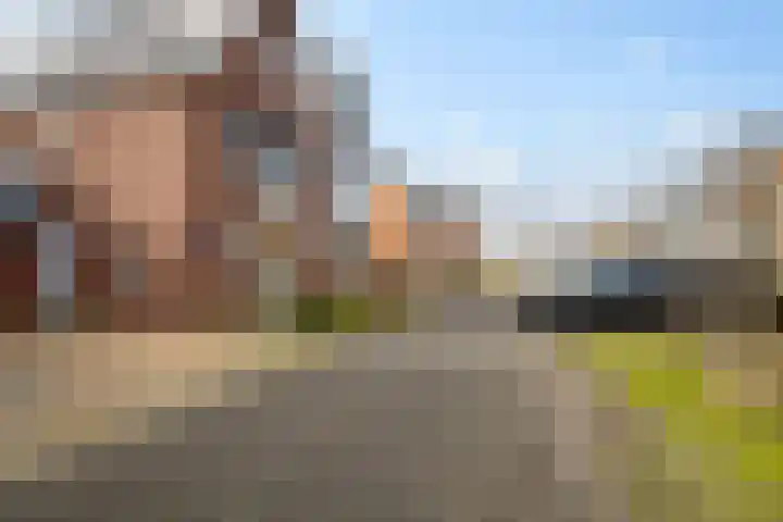 Wierdijk 101 Zwaag thumbnail 30