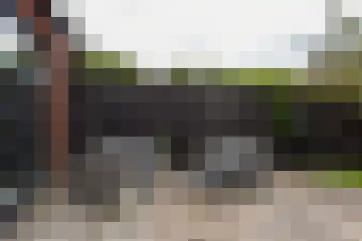 Wierdijk 103 Zwaag thumbnail 27