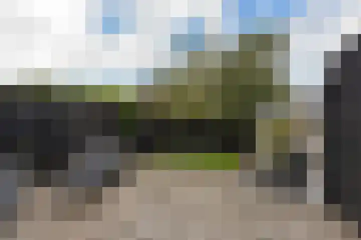 Wierdijk 103 Zwaag thumbnail 28