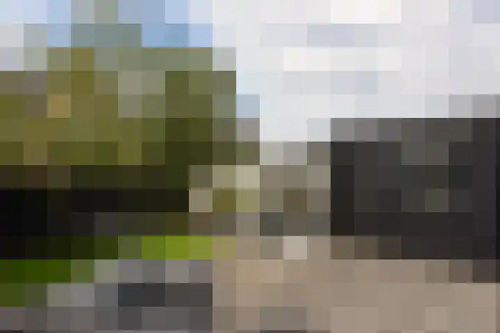 Wierdijk 103 Zwaag thumbnail 29