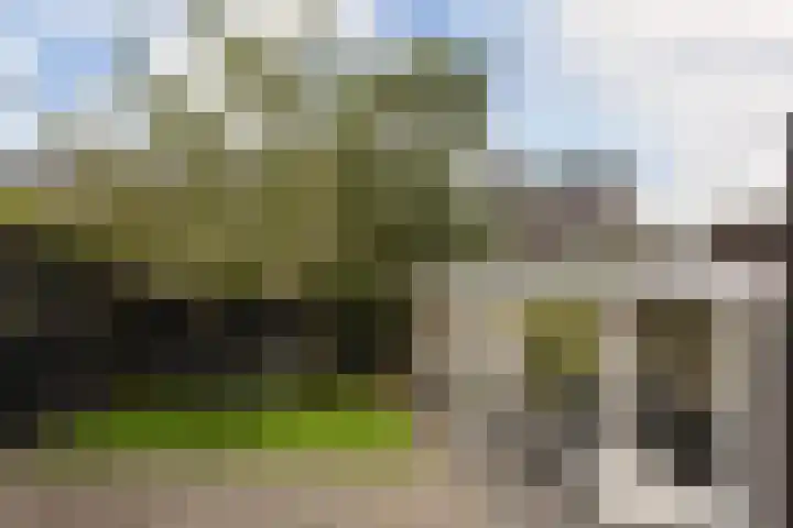 Wierdijk 103 Zwaag thumbnail 30