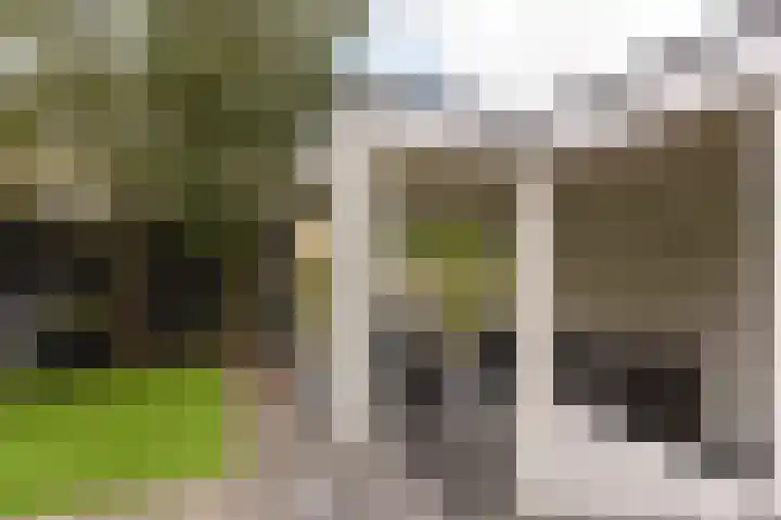 Wierdijk 103 Zwaag thumbnail 31