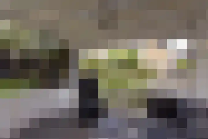 Wierdijk 103 Zwaag thumbnail 33