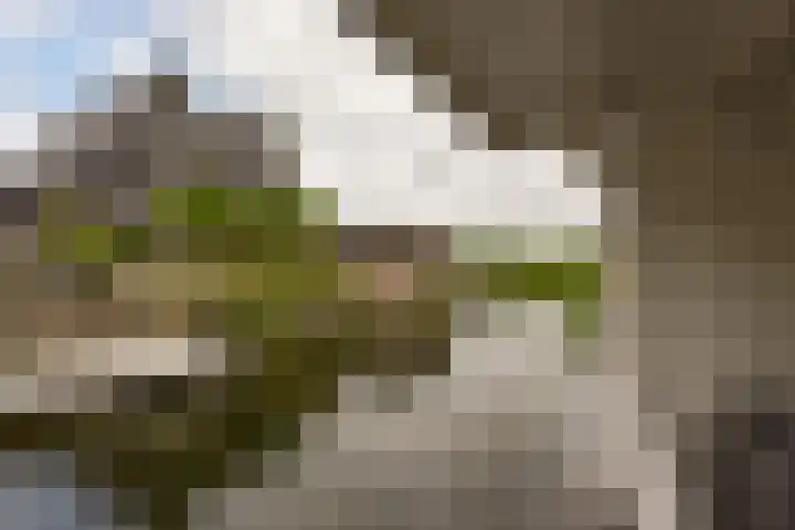 Wierdijk 103 Zwaag thumbnail 34
