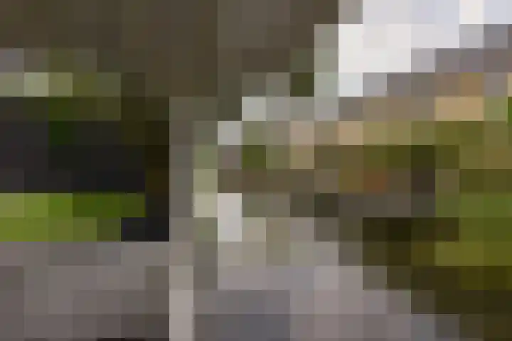 Wierdijk 103 Zwaag thumbnail 35