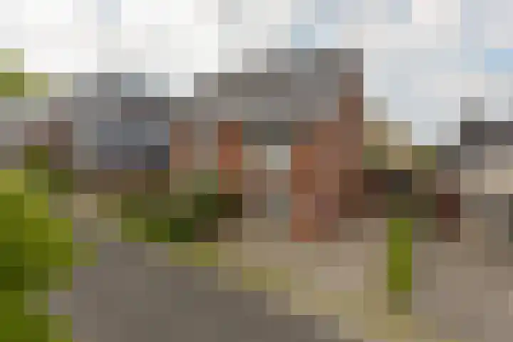 Wierdijk 103 Zwaag thumbnail 36