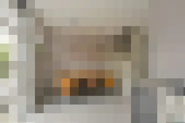 Wierdijk 103 Zwaag thumbnail 7