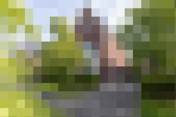 Wierdijk 112 Zwaag thumbnail 46