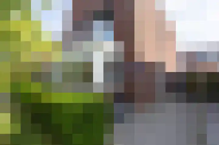 Wierdijk 112 Zwaag thumbnail 6