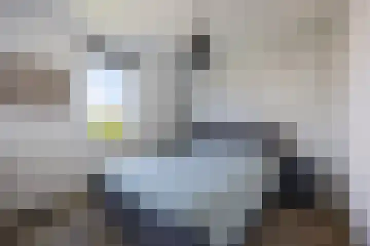 Wierdijk 125 Zwaag thumbnail 13