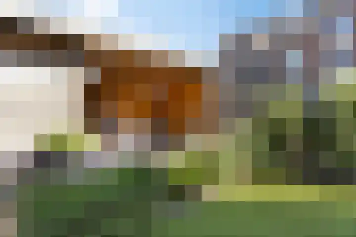 Wierdijk 125 Zwaag thumbnail 26