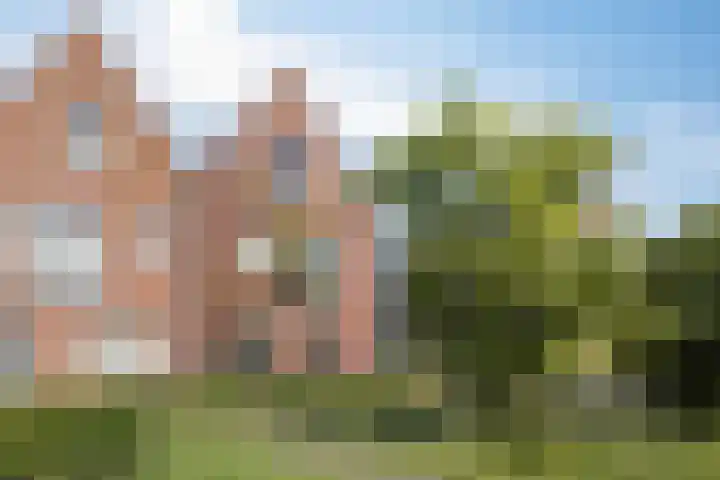 Wierdijk 125 Zwaag thumbnail 30