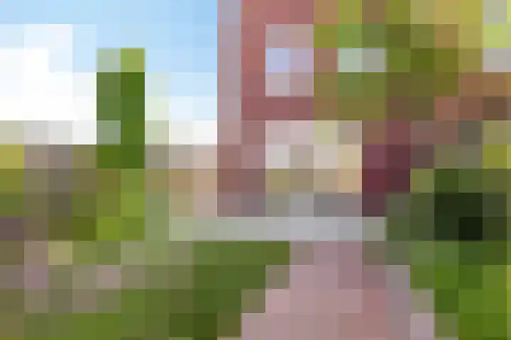 Wierdijk 125 Zwaag thumbnail 5