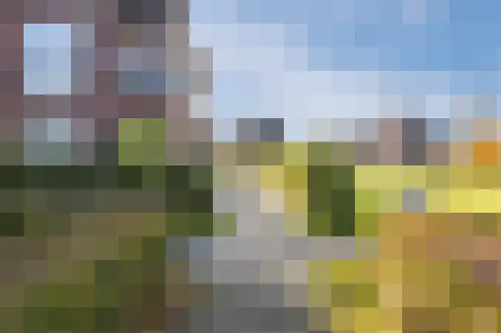 Wierdijk 127 Zwaag thumbnail 45