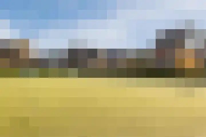 Wierdijk 127 Zwaag thumbnail 49