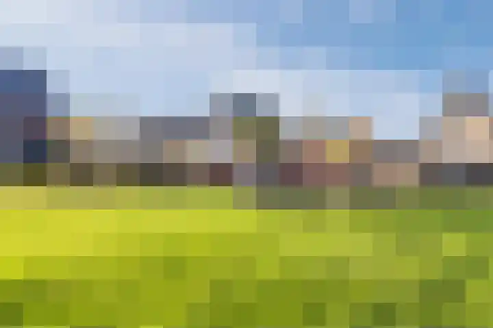 Wierdijk 127 Zwaag thumbnail 51