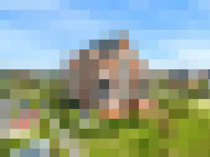 Wierdijk 132 Zwaag thumbnail 29