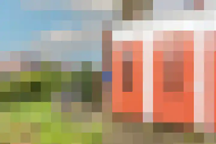 Wierdijk 133 Zwaag thumbnail 32